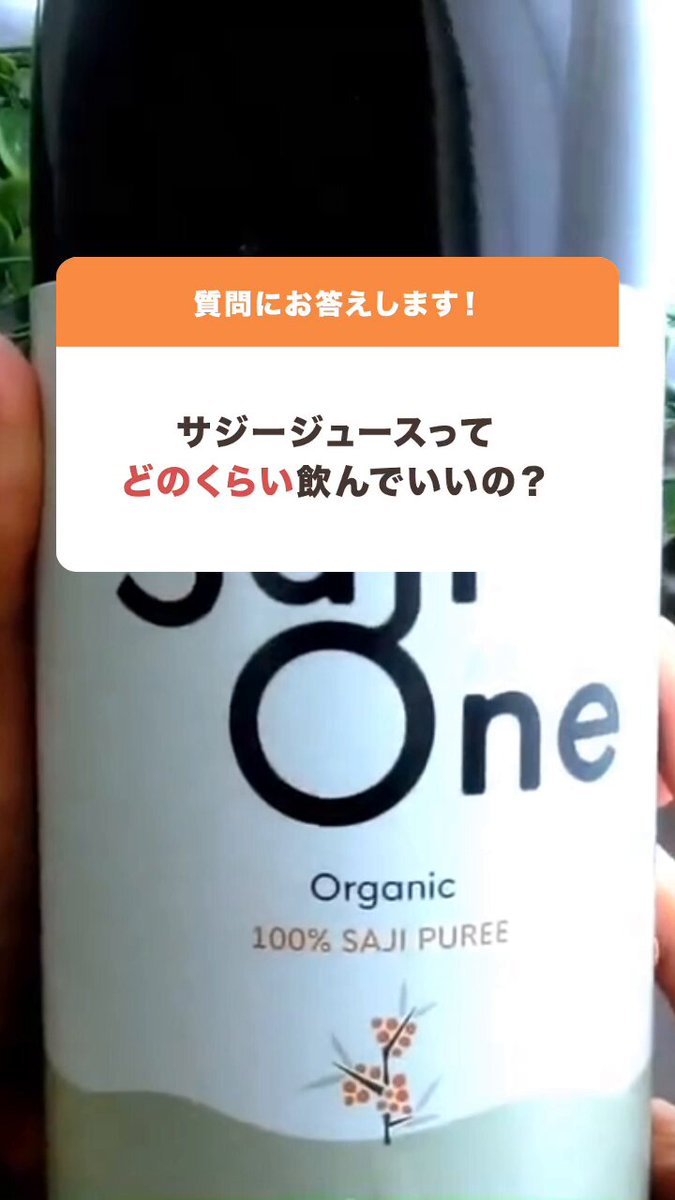 a  サジーワン Amazon.co.jp: サジーワン SajiOneオーガニック サジー 有機JAS