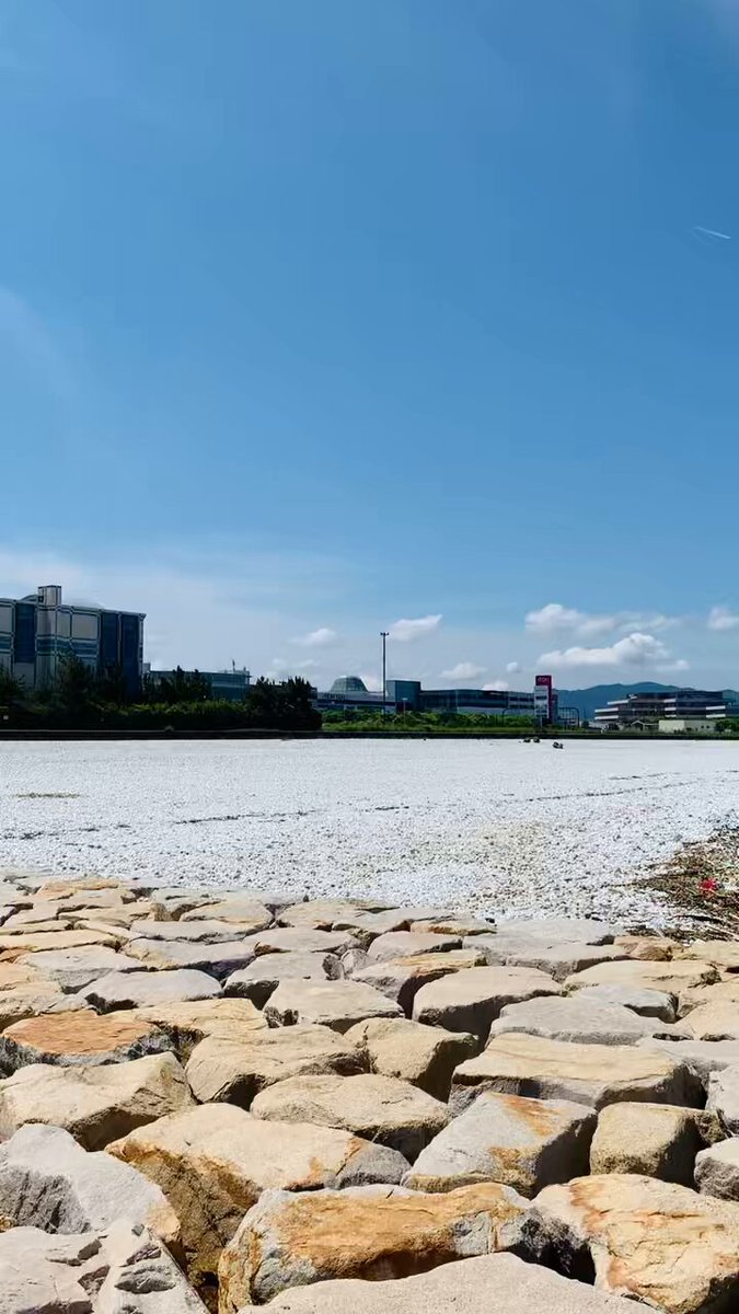 ひだまり (@MrHIDAMARI) / X