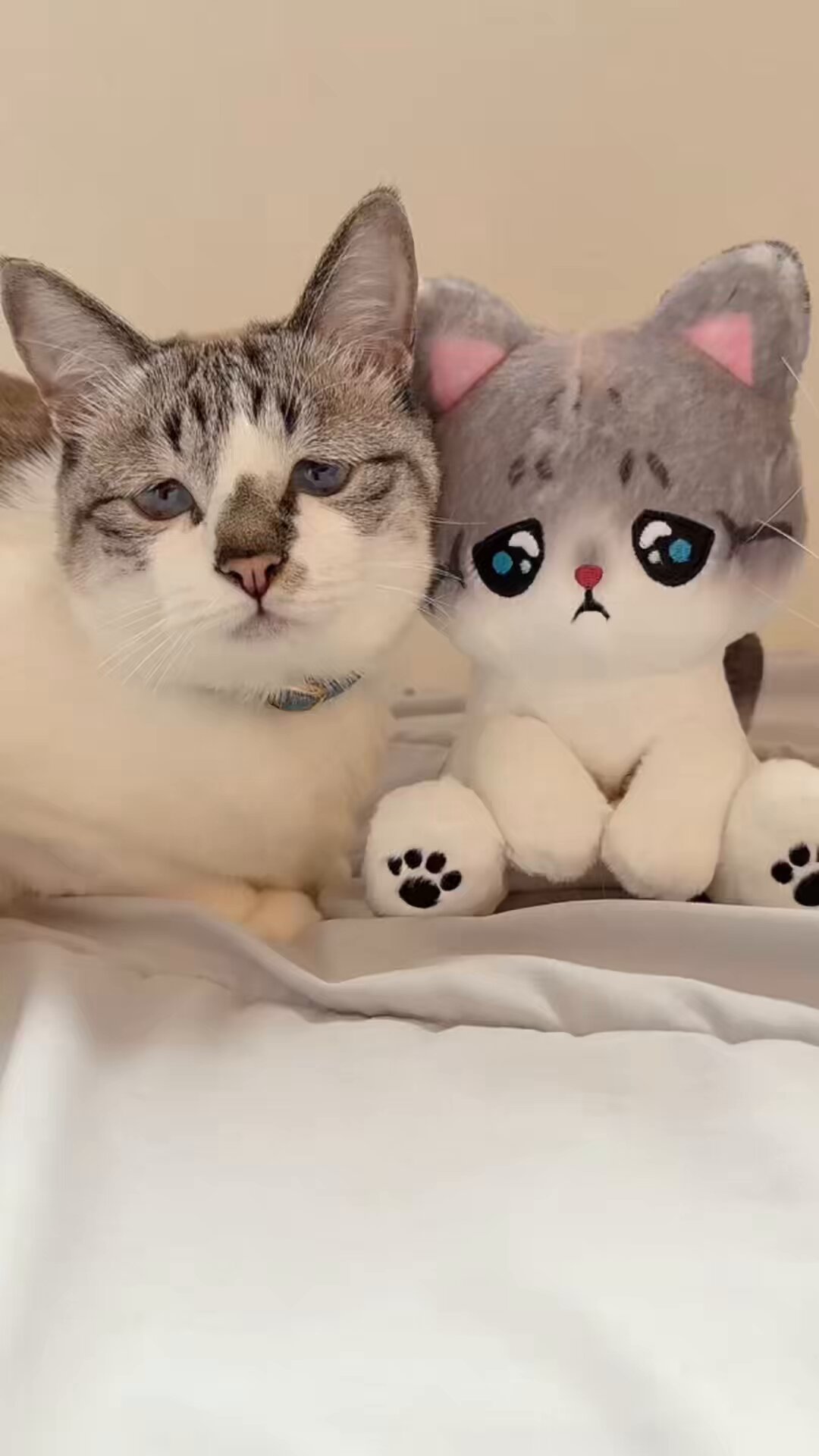 天使ちゃん!さま確認ページ♡ 超絶最かわてんしちゃん - 公式サイト