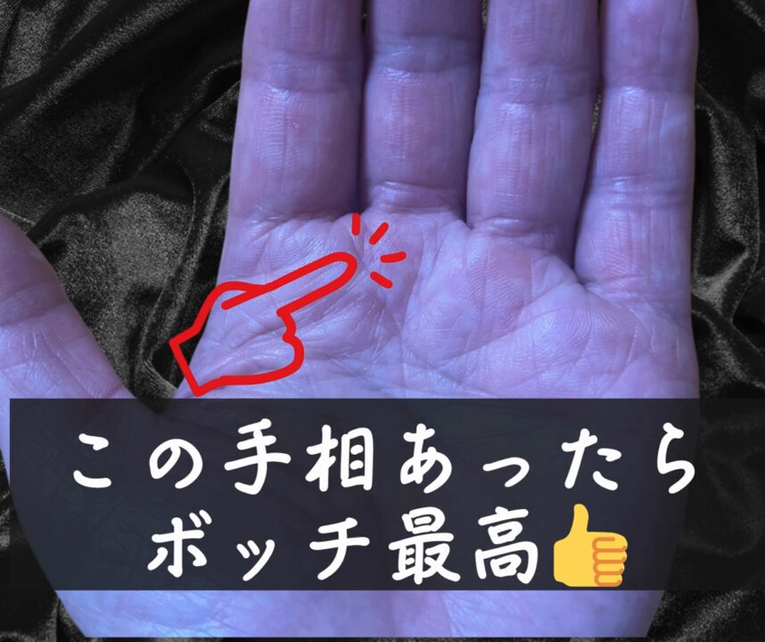 🔎手相鑑定士トッチー📖初書籍1万部挑戦中 (@masahiro919191) / X