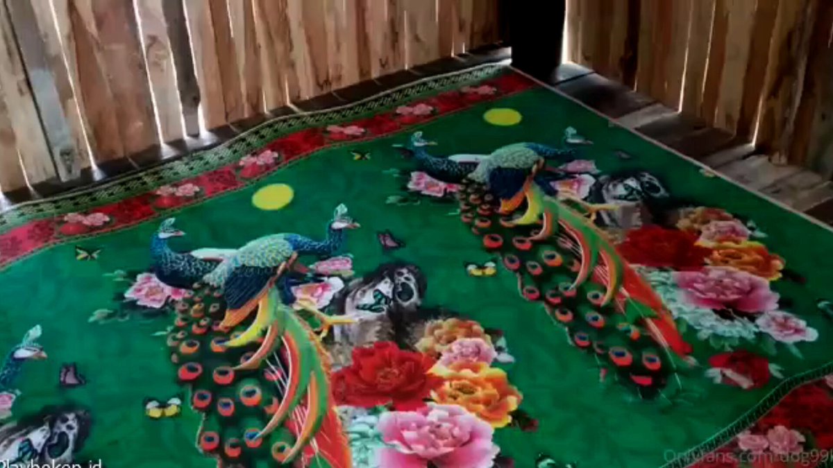 gubuk yang menjadi tempat seks 