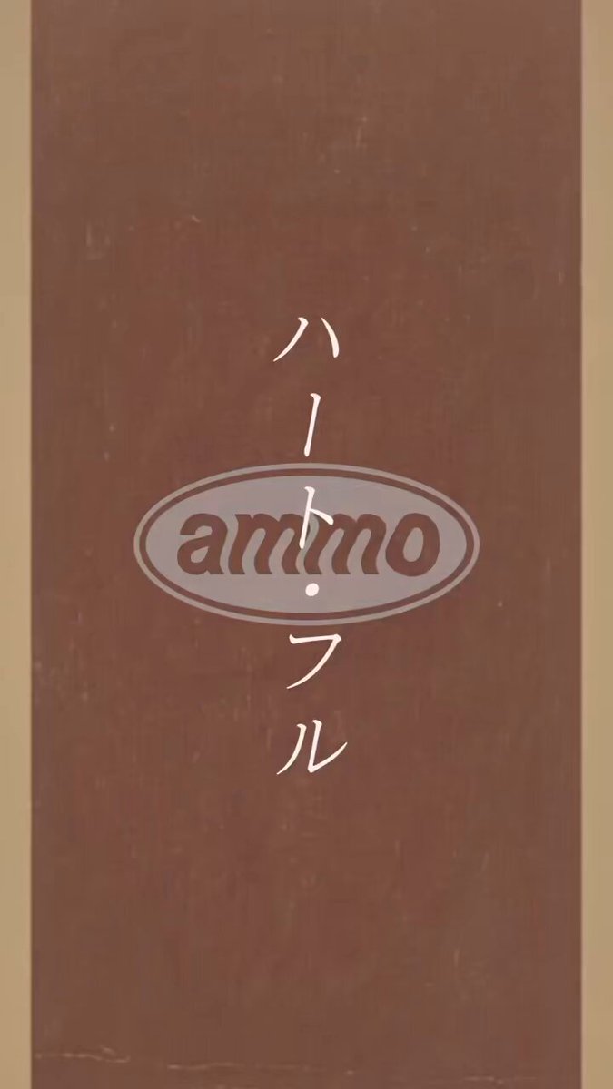 ammo ピック セット HOTEI.COM STORE