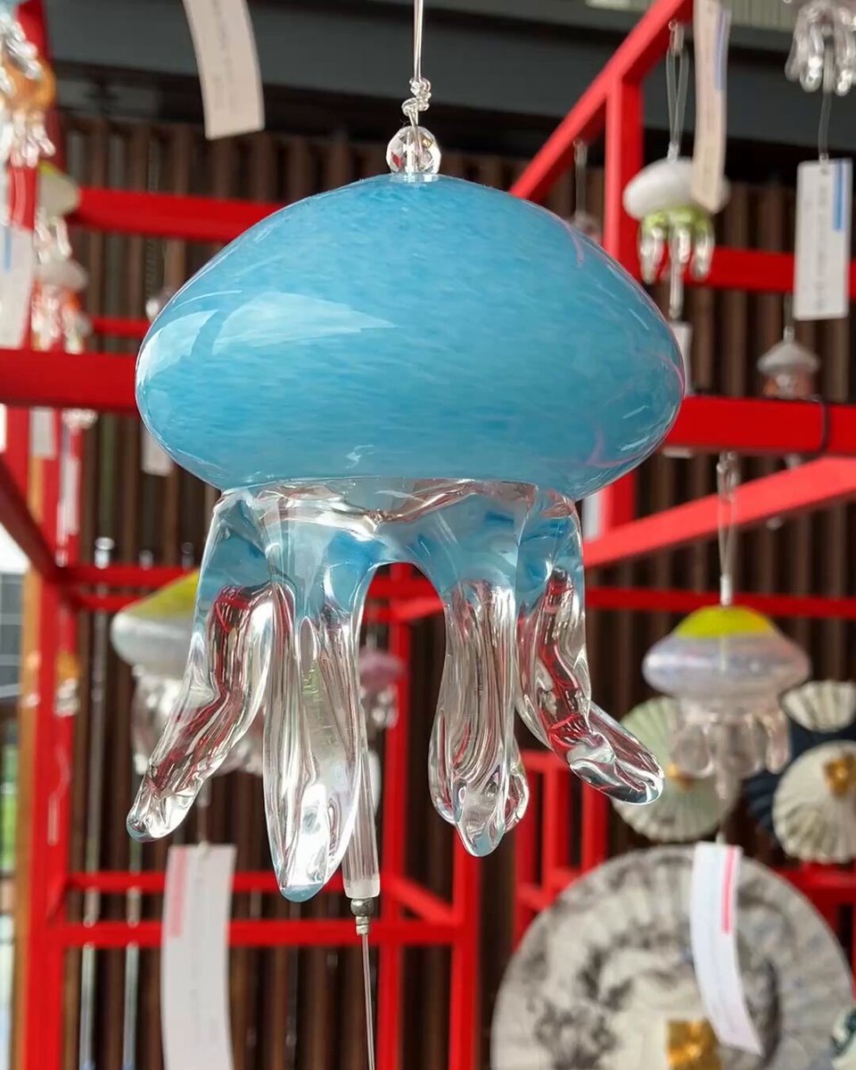京都水族館 on X: 