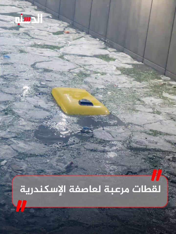 كأنه يوم القيامة.. مشاهد من عاصفة الإسكندرية اليوم