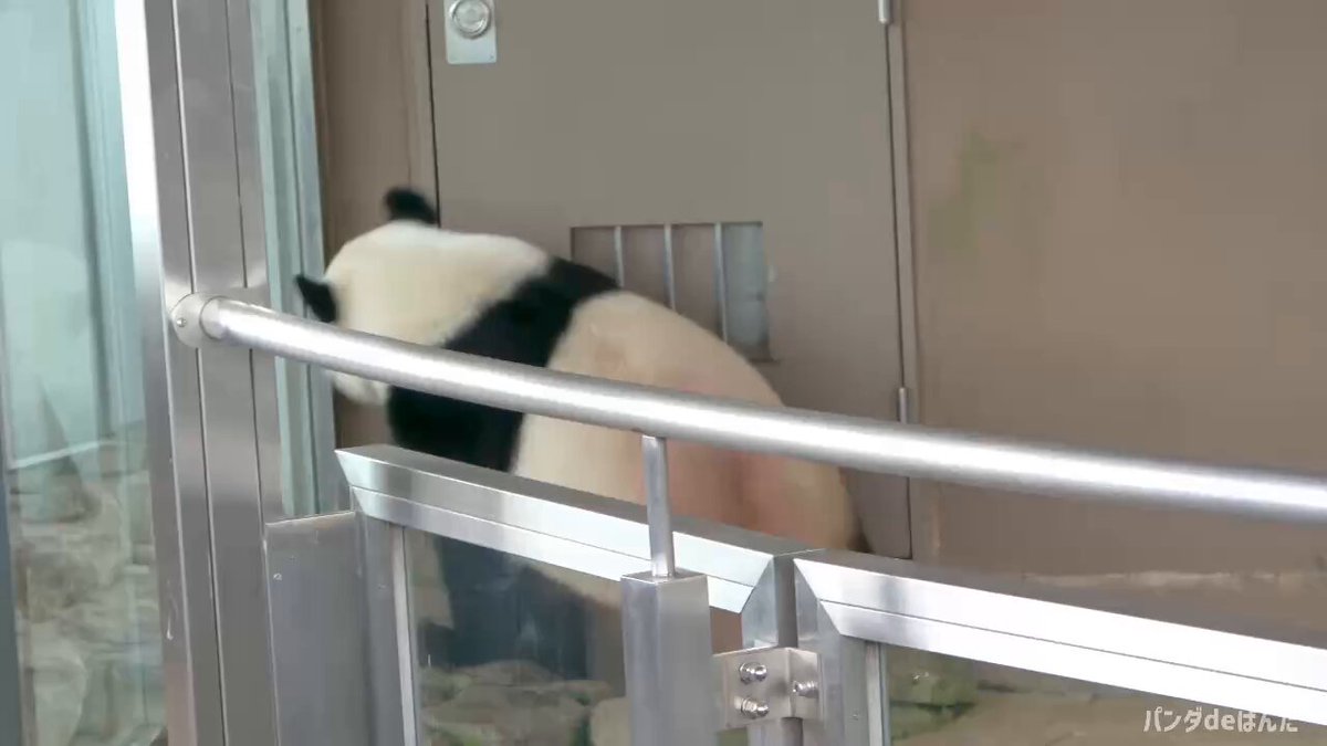 パンダdeぱんだ (@panda__de) / X