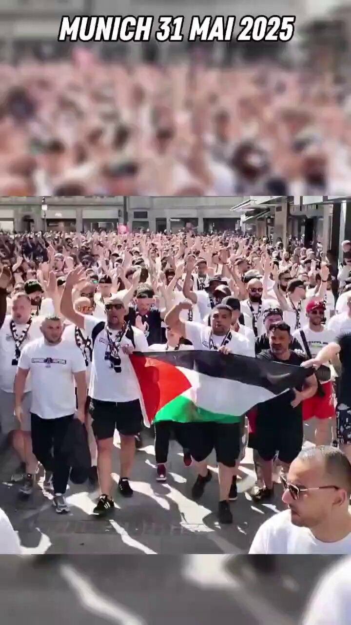 @JeanMessiha's video Tweet