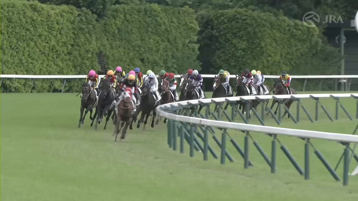 JRA World Racing on X