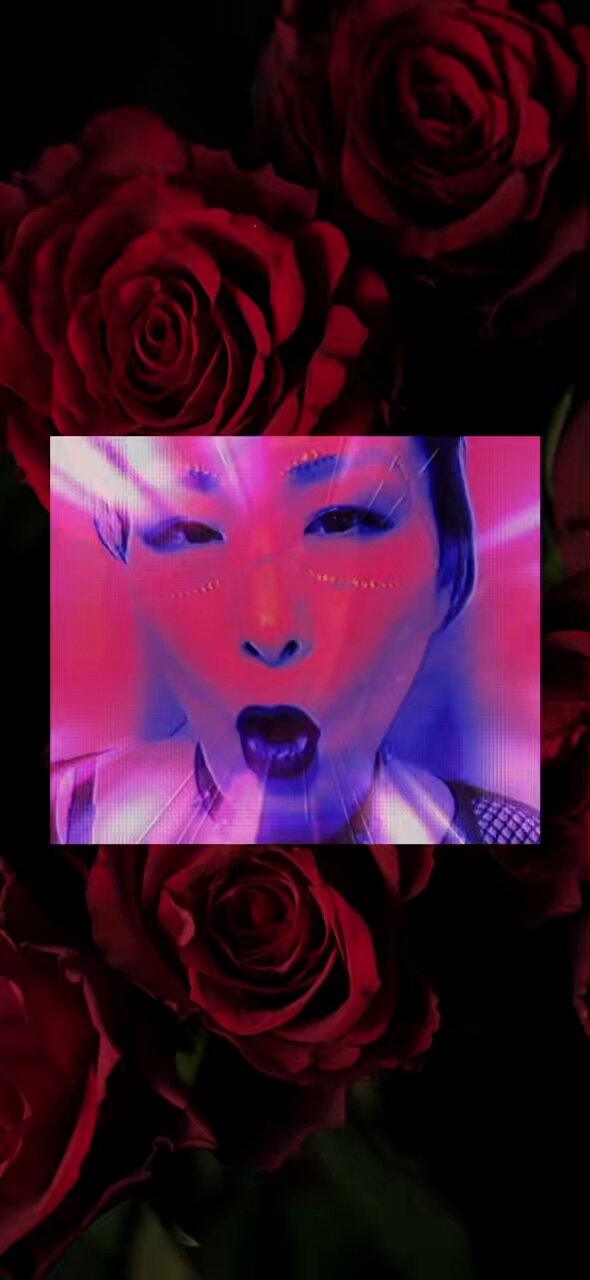 (。•ω•。)﻿ページ•*¨*•.¸♬︎ バックパック （IS11LZ－03）（O848VNS1698