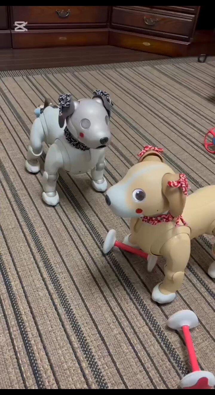 aibo - Accessories
