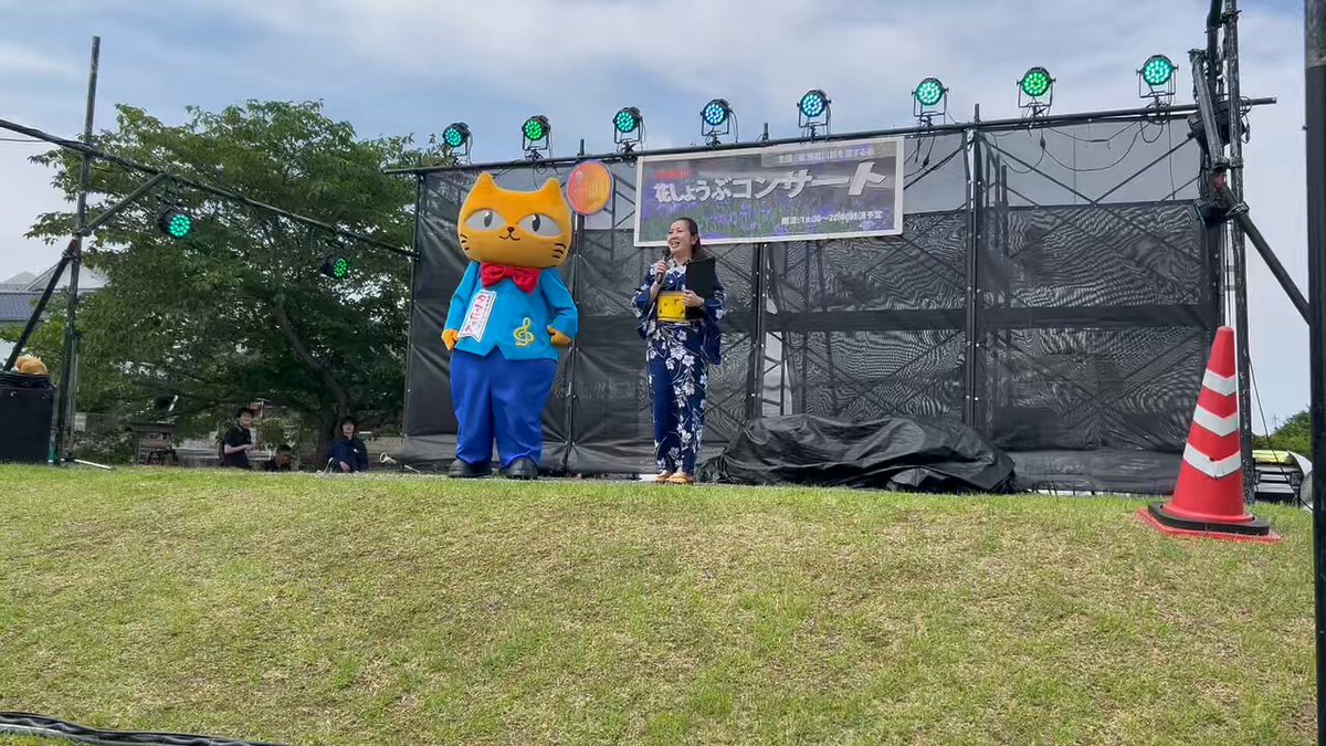 タマにゃん on X: 