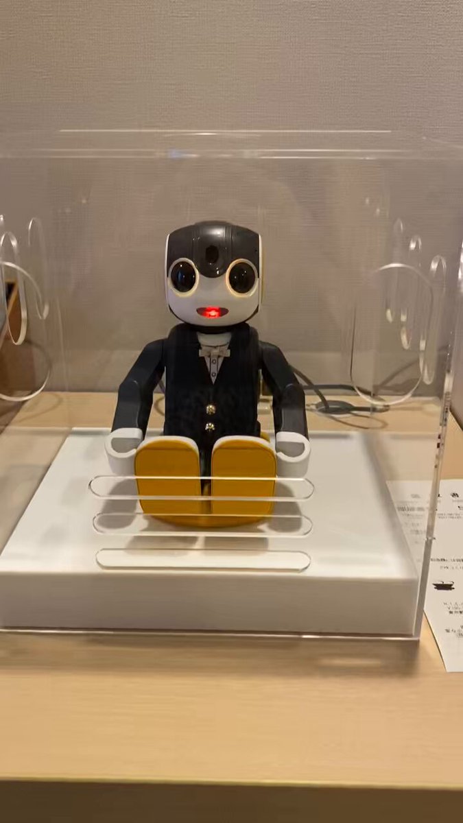 nanairoページです　　　　ロボホン ろぼちゃん＆じなん君(人間のちっぷ) (@RoBoHoN_JAPAN) / X