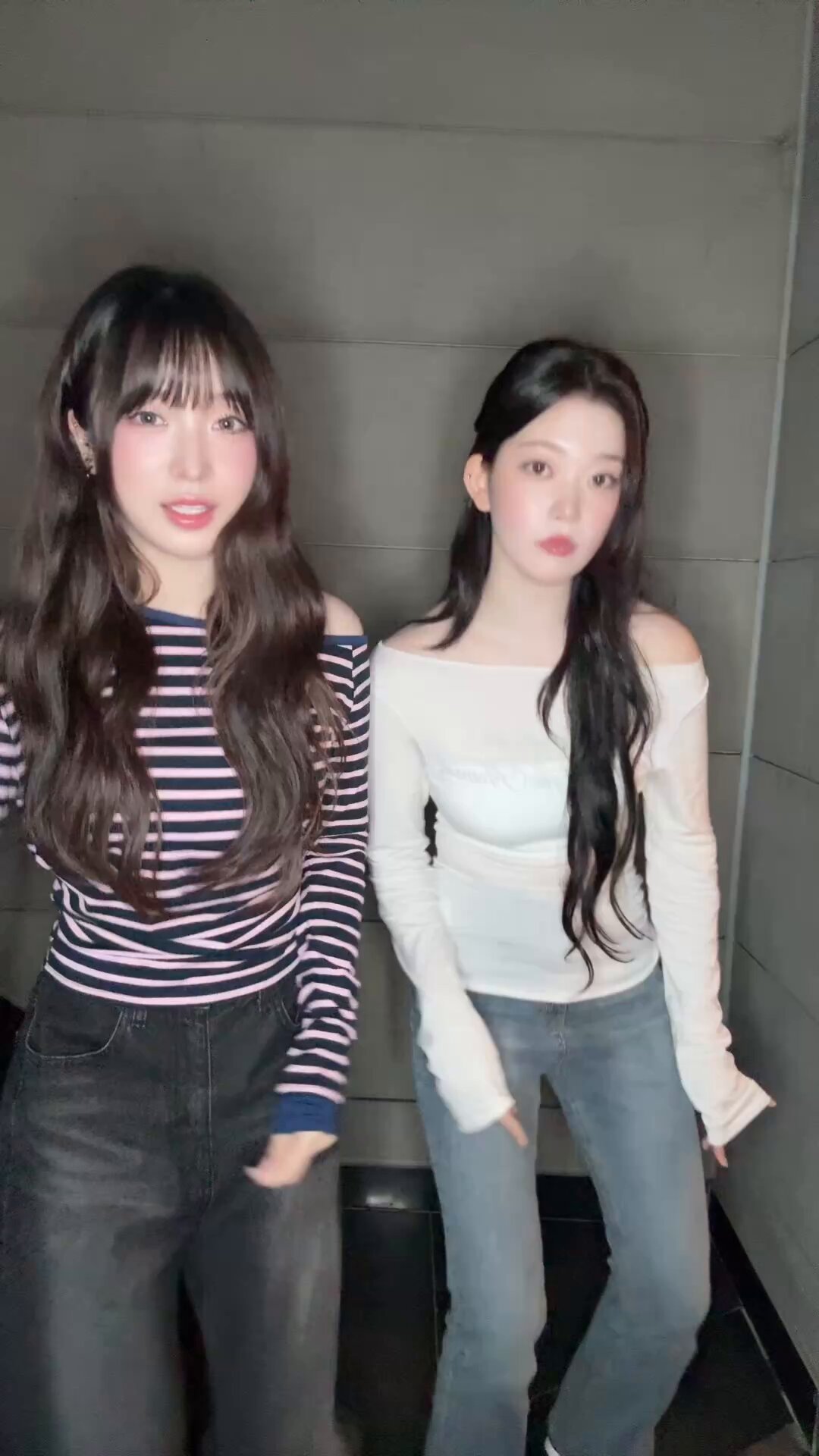 Billlie rxr DMC ツキ MJ-Premium/ASH URUSHI-BR #15487 | Deviser ｜株式会社ディ