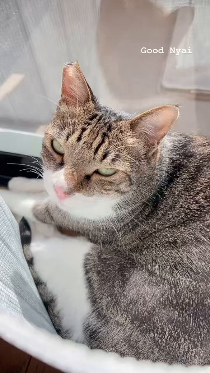 気持ちいいねー