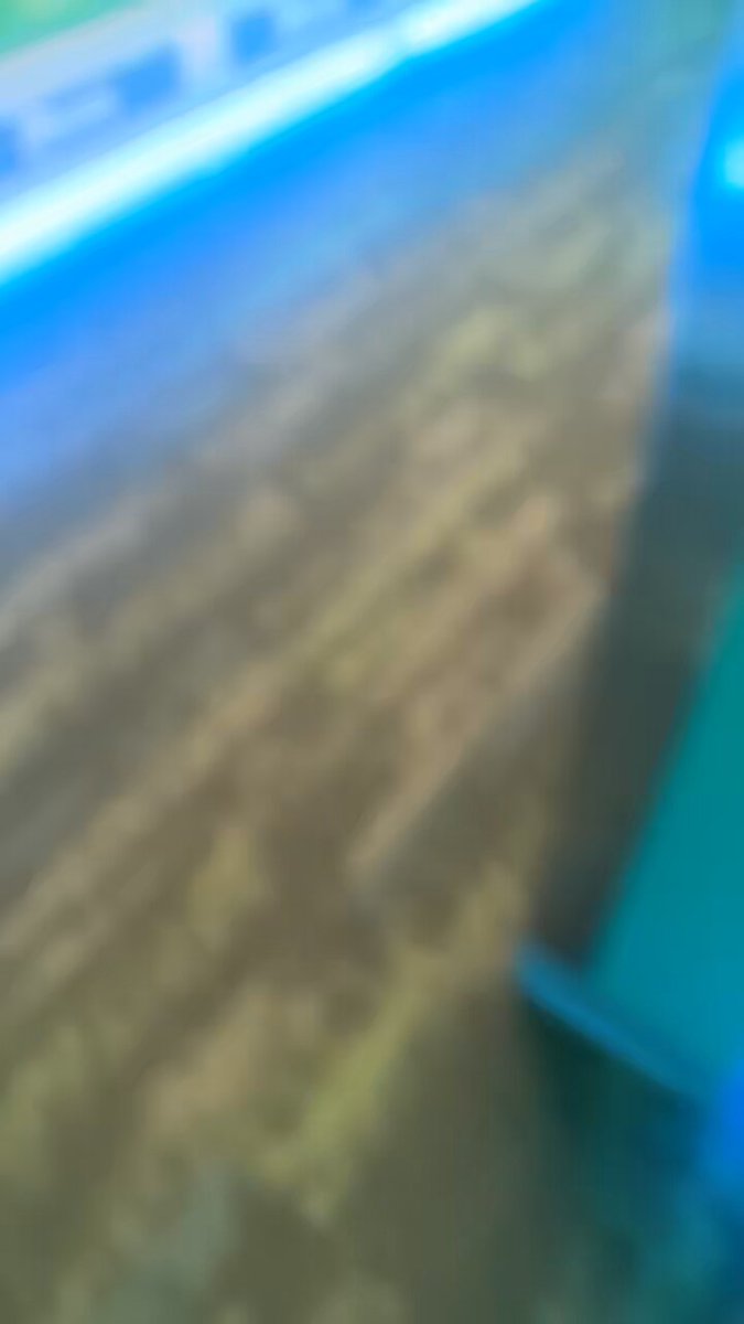 Tweet media two