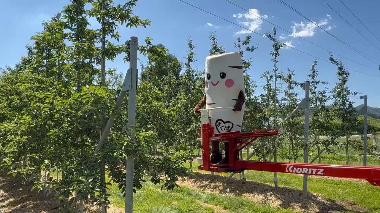 りんごページです♡ りんご on X: 