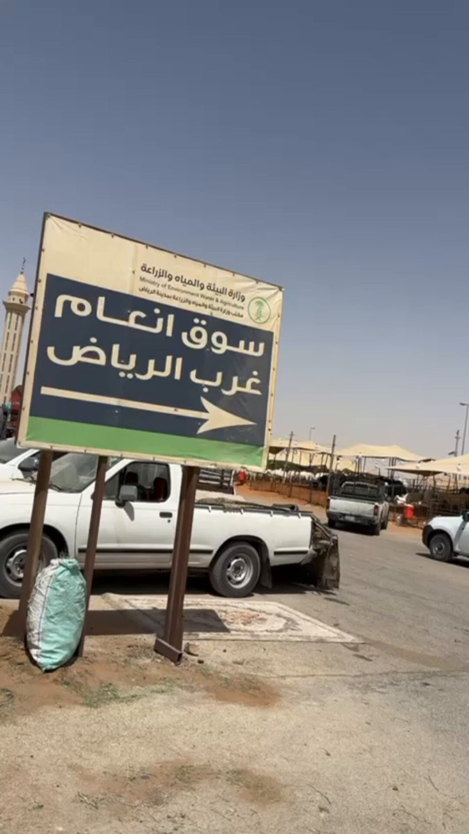 فيديو| تتجوّل في أحد أكبر أسواق الأنعام ب الرياض: الأسعار تبدأ من 1800 ريال، وسط حضور طاغٍ للأغنام المحلية وغياب ملحوظ للمستورد.. عبدالرحمن الأسمري 