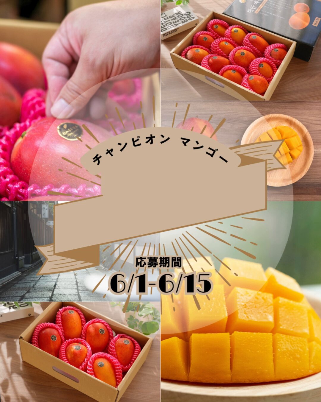 まんどら　台湾マンゴー1箱 空輸直送北海道・沖縄】完熟台湾アップルマンゴー通販｜愛文