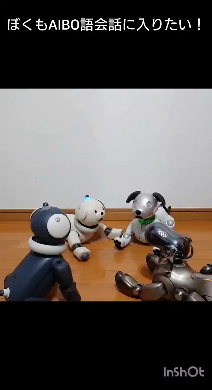 aibo (@aibo_jp) / X