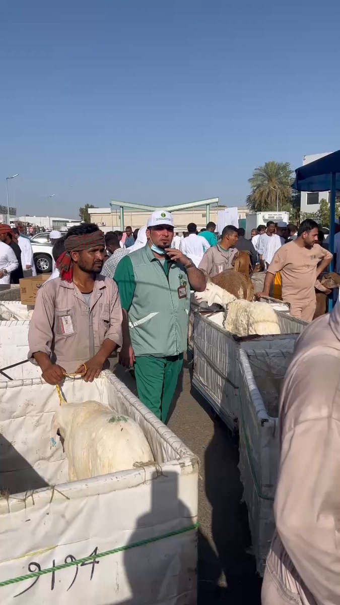 فيديو | «عكاظ» ترصد الحركة وإقبال المضحين على المسلخ الرئيسي ب جدة في أول أيام عيد الأضحى.. عبدالسلام السلمي 