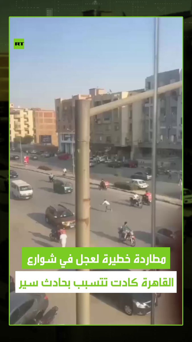 حاول الهروب من مصيره المحتوم.. مطاردة مثيرة بشوارع القاهرة لعجل هارب انطلق بسرعة بين السيارات ما أدى إلى فوضى مرورية كادت تتسبب بحادث سير. #فيديو 