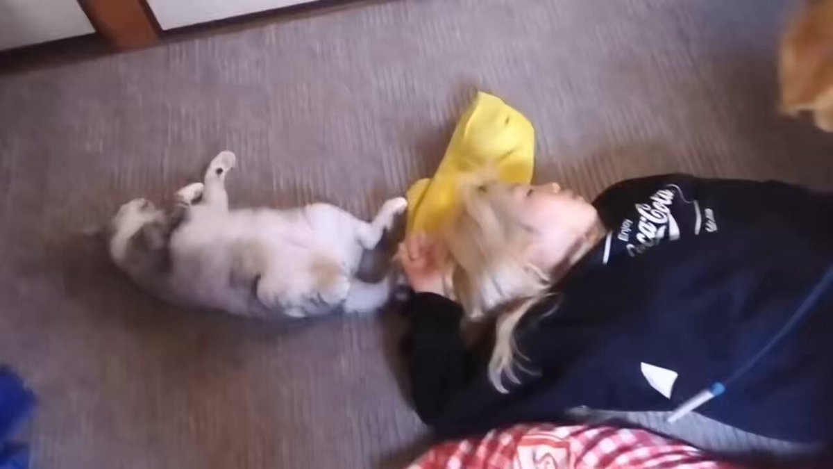 ゆっちゃんページ ゆっちゃん🐶🎉ゆっチャンネル🔥Breaking down7出場