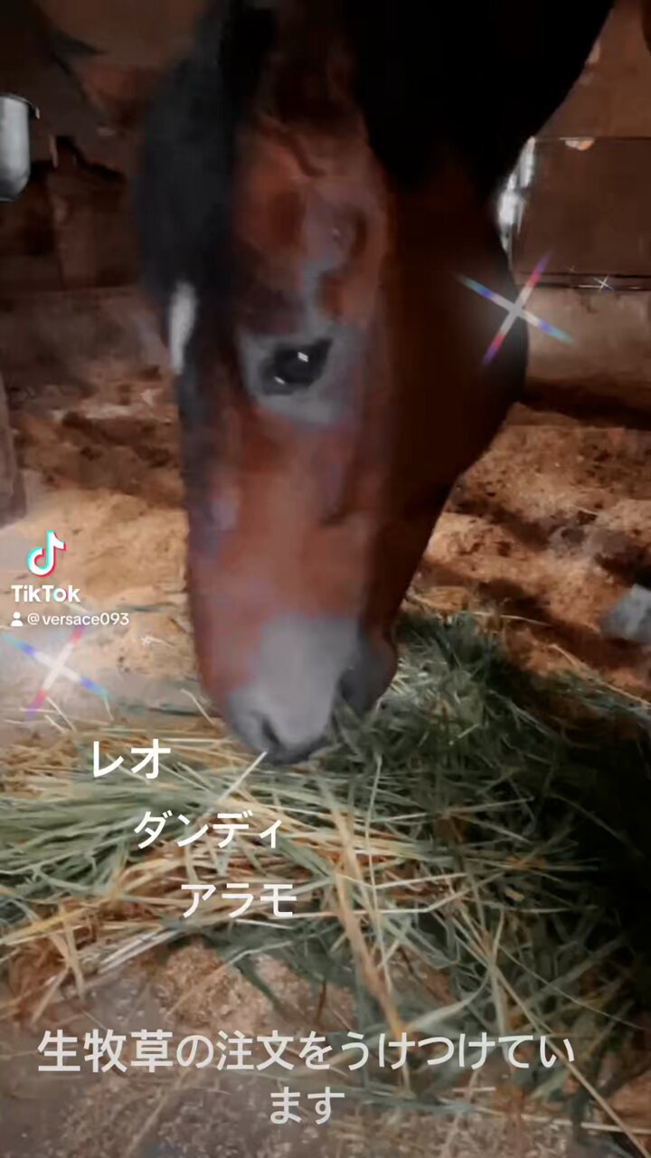 エキサイター - البحث / X