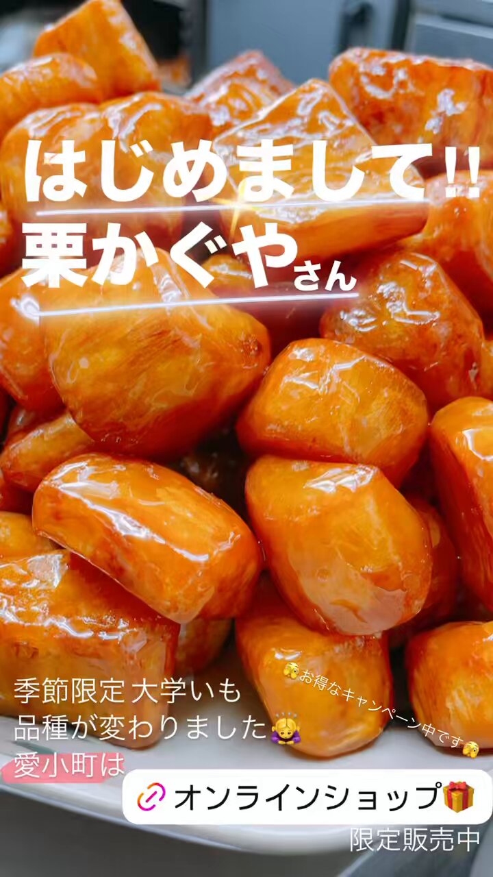 おいもやさん♪　種子セット 楽天市場】種子島産 安納芋の焼き芋 おいもや 国産のあま～い