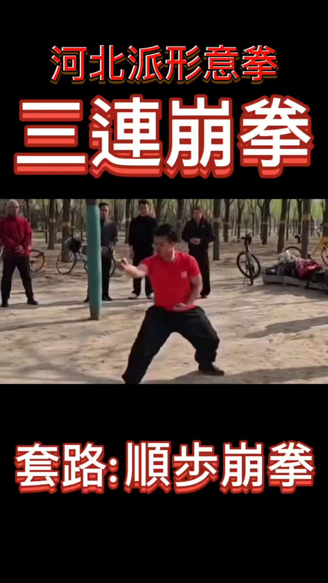レア❣️ 本人直筆サイン入り　中国拳法　少林寺拳法　形意拳　中国語勉強 レア❣️ 本人直筆サイン入り 中国拳法 少林寺拳法 形意拳 中国