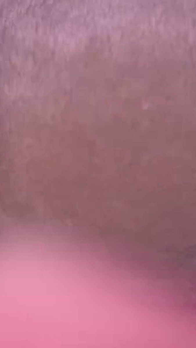 1931728264189575360