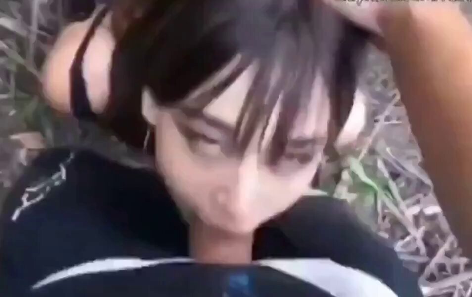 Video by @Hazelnut69_