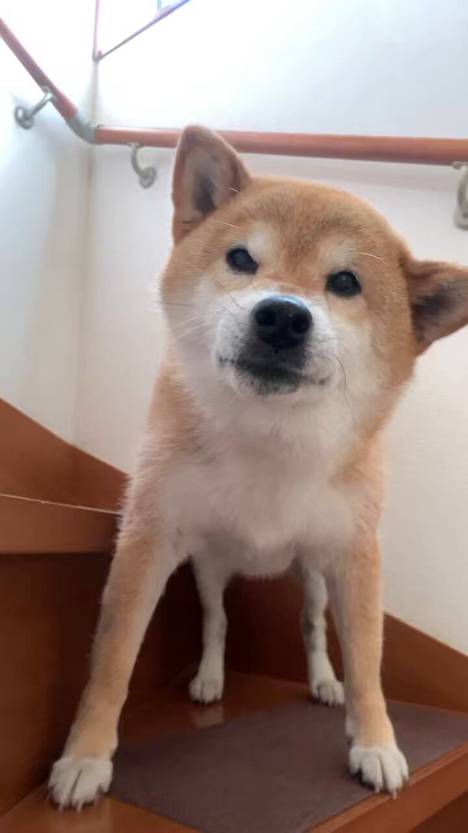 ⭐️Ginzi⭐️ (@48ginzi) / Posts / X