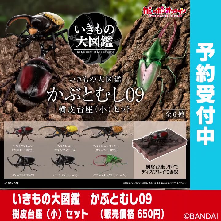 けいきものページ ジオラマ好き on X: 