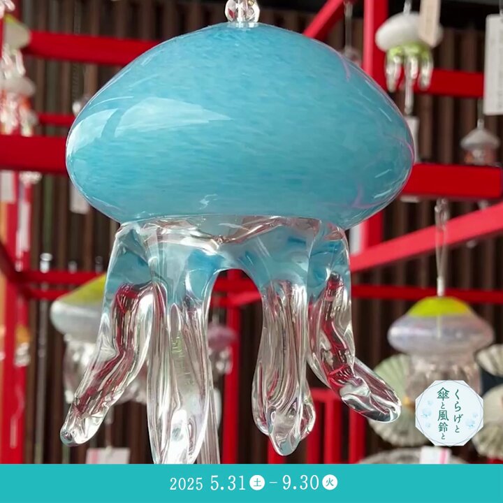 京都水族館 on X: 