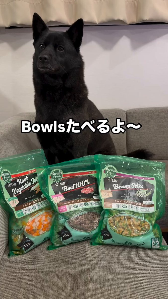 ボウルズフレッシュドッグフード (@BowlsDogFood) / X