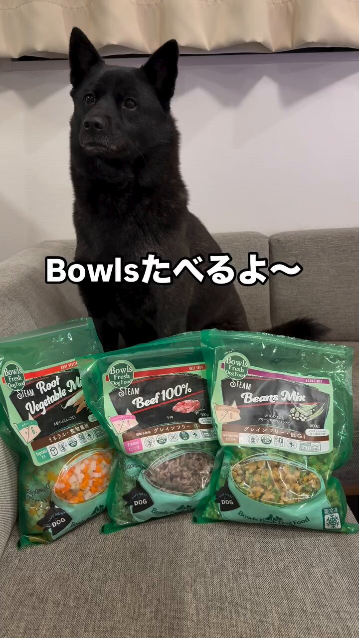 ドッグフード Belle115 ゴン太の ふっくらソフト 13歳以上用 2.1kg サンライズ sunrise