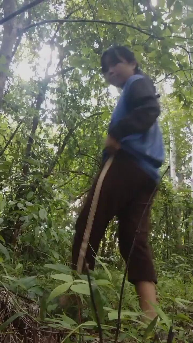 SMP tobrut solo di hutan