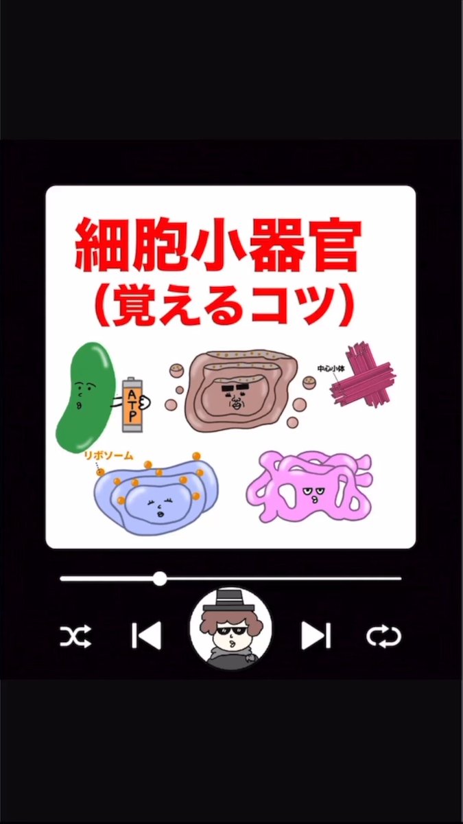 11、図解生理学 11、図解生理学 hardware - Documentation for