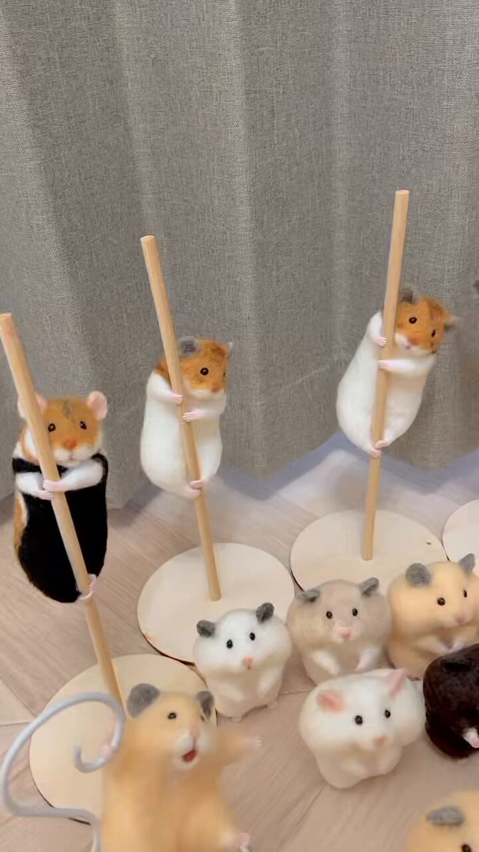 ネズミ🐶🦴💜🐹🐹 on X: 