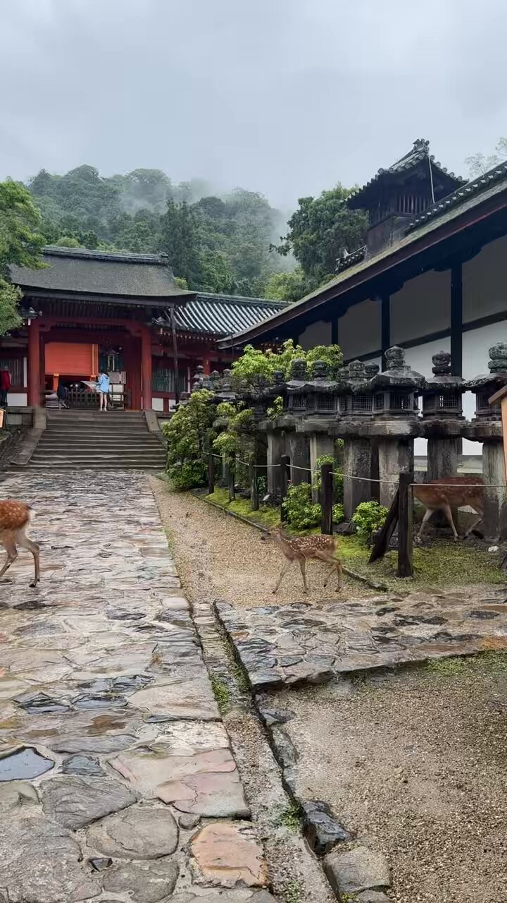 若宮十五社めぐり | 春日大社