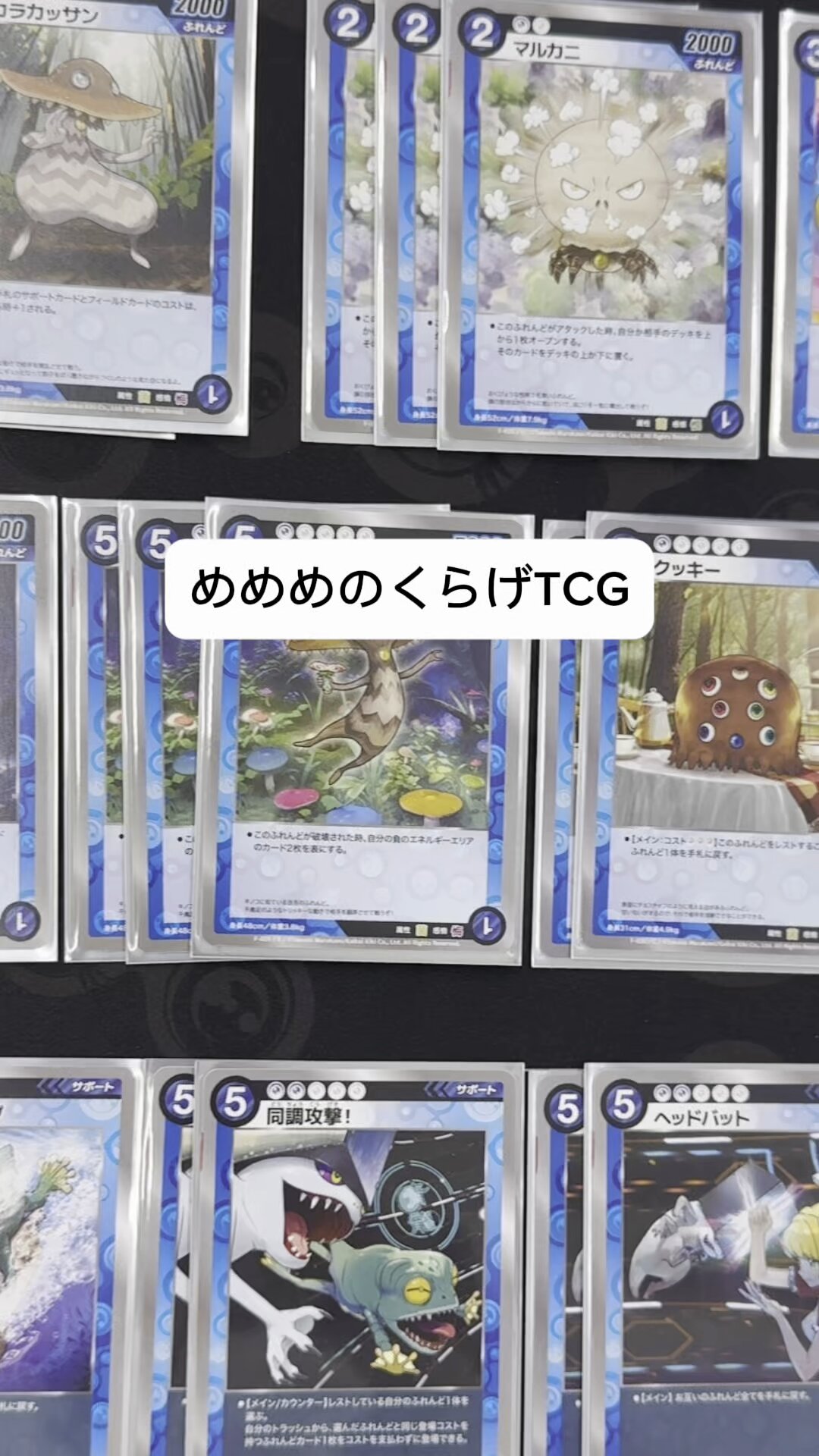 めめめのくらげTCG (@mememe_tcg) / X