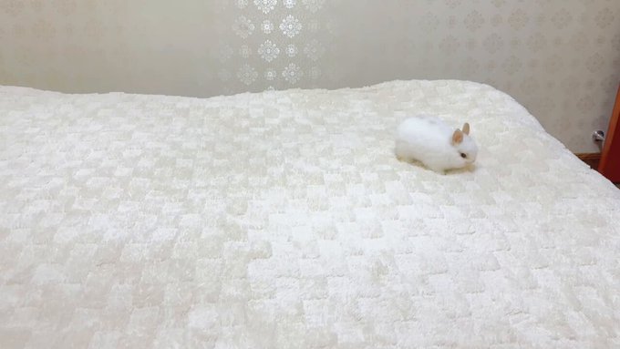 幽遊屋敷（大須）のツイート