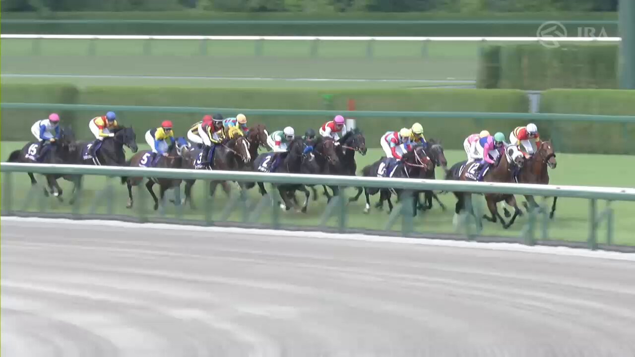 JRA World Racing on X: 