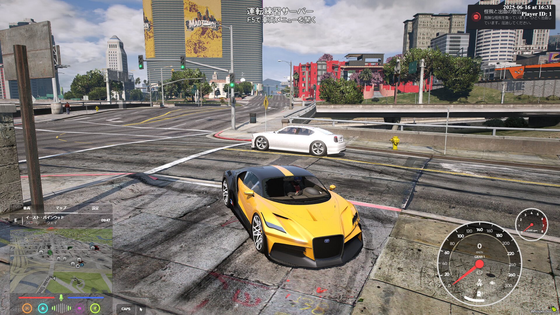 Any サブサイドダスク モノクロームパロット パロットキャンバス公式