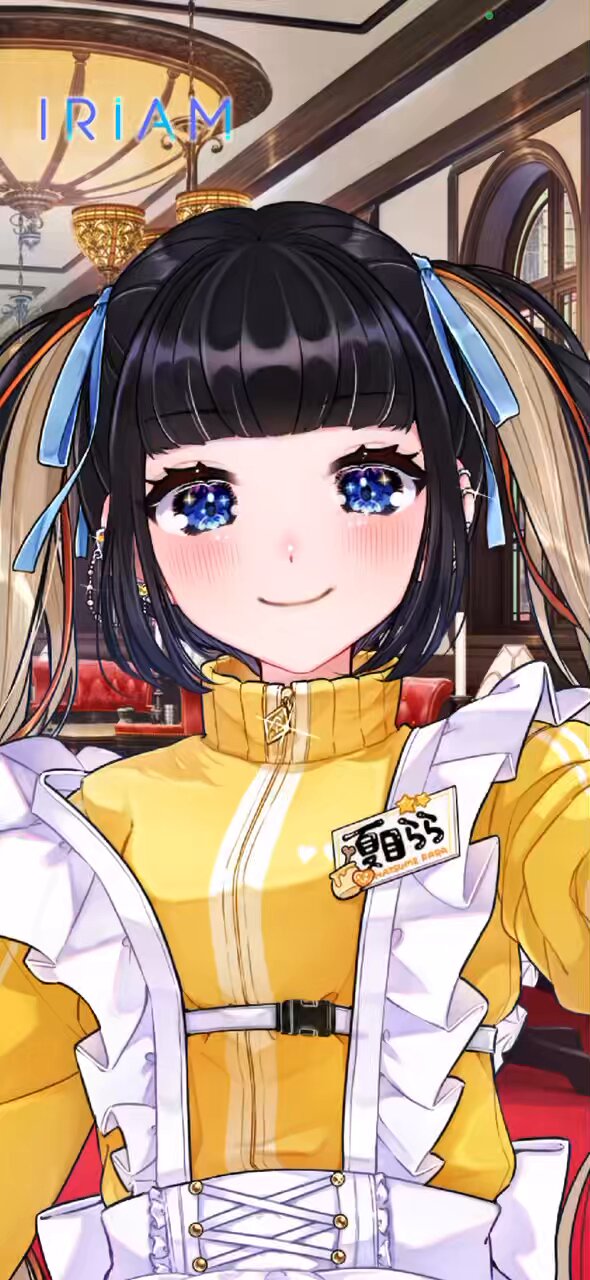 お歳暮 人気 オシャレ 八華 道／ぴょん！  X: on その他