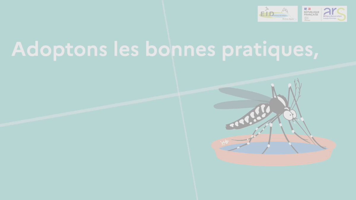 Image de Préfète de l'Ardèche : #MardiConseil | Moustique tigre : Rangez, videz, couvrez :  Protégez-vous dès aujourd’hui !

⚠️ Le m