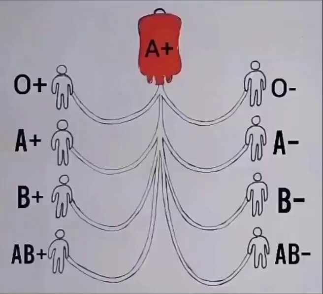 山田 太郎 (@yamada25tm2) / Posts / X