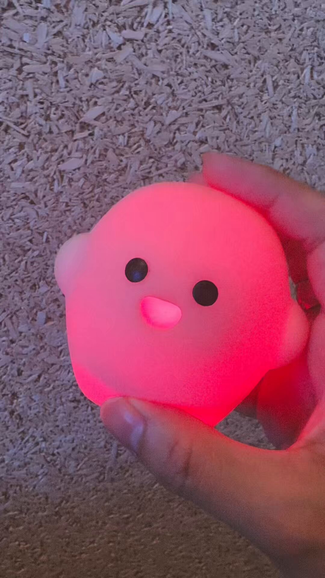 万博限定・即完売品 次回入荷未定 サーキュラーちゃん ぬいぐるみ大小セット 新品 万博限定・即完売品 次回入荷未定 サーキュラーちゃん