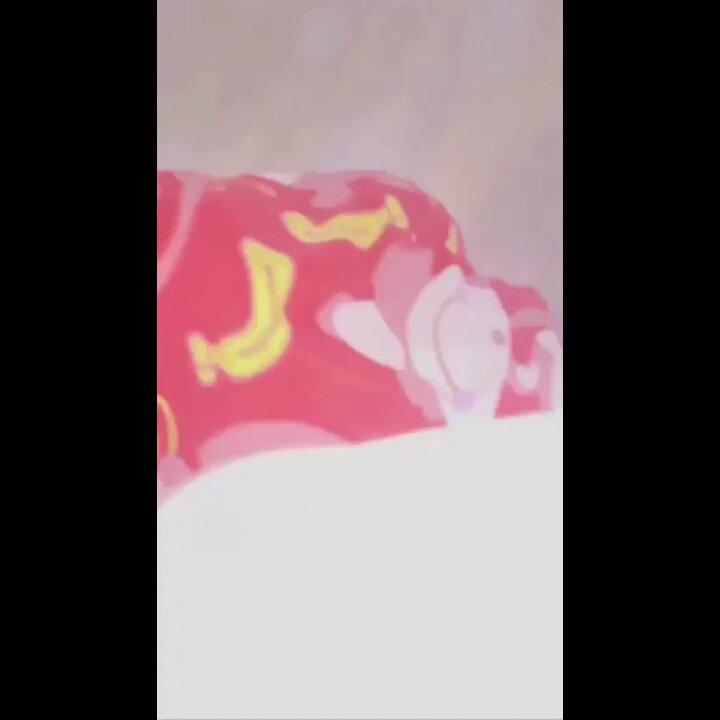 cece cantikk