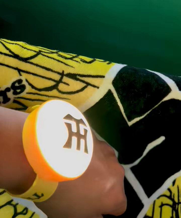 阪神タイガース　虎めくり　マジック　カウントダウン　未開封 阪神タイガース BBM 2025 未開封15パックセット (550 円 15