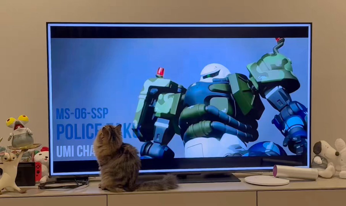 編集した動画は猫チェックが入ります(カワイイ)